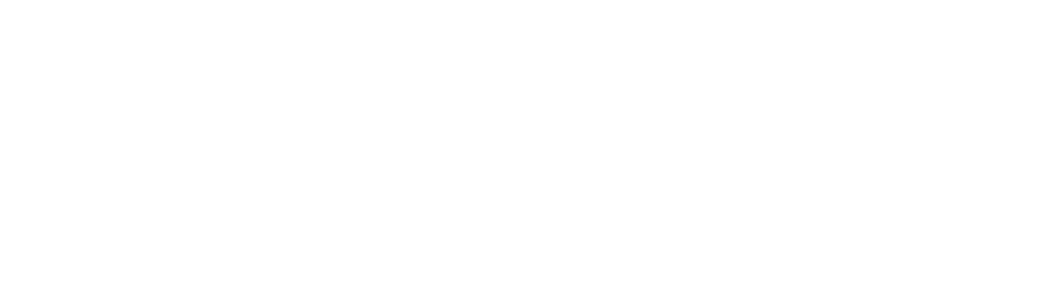 EBIS Business Techschool